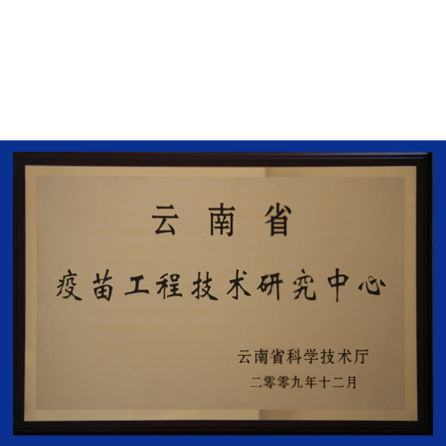 企业荣誉